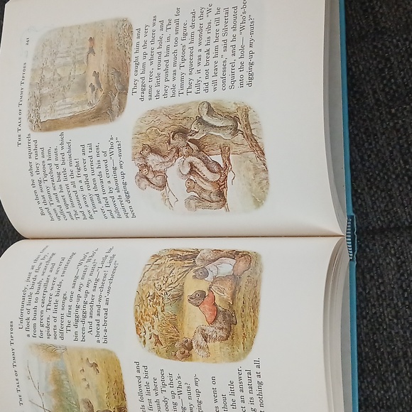 Bunny storybook - Picture 3 of 5